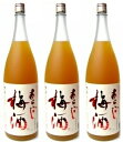 梅乃宿　あらごし梅酒1800ml×3本セット ※沖縄・離島は別途中継料が加算となります。　【smtb-td】【送料無料】あらごし梅酒を存分に味わいたい方へおすすめです♪