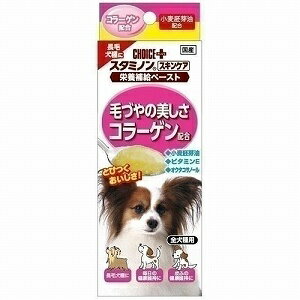 CHOICE PLUS　チョイスプラス　スタミノン　スキンケア　40g　CPST-SK−40