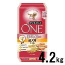 ピュリナワン ドッグ ほぐし粒入り 成犬用 1歳から6歳 チキン 4.2Kg【代引不可】