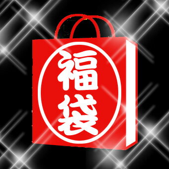 ʤΤ2Ǥ2011ǯʡޡ̵ϰۤ210,000ߡʥޥա