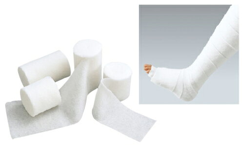 https://thumbnail.image.rakuten.co.jp/@0_mall/fujix/cabinet/cs001/cs-00300515.jpg?_ex=500x500