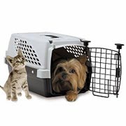 ڤƾפ¿ŪڥåȥNOZTONOZpetsuiteڥåȥȡSν4.5kgޤǤΥڥå