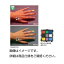 【送料無料】(まとめ)画像補正用カラーチャートCASMATCH〔×3セット〕【代引不可】
