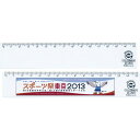 エコ・直定規15cm ECN-15【北海道・沖縄・離島配送不可】