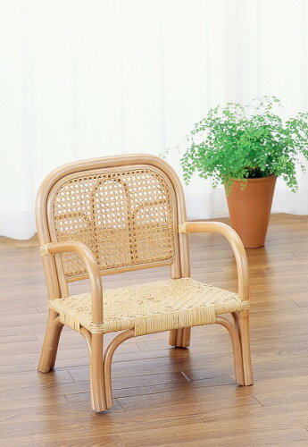 https://thumbnail.image.rakuten.co.jp/@0_mall/fujix/cabinet/imaeda2/4505219013.jpg?_ex=500x500