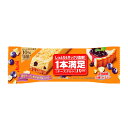 1本満足バー チーズタルト 9本入り(1ケース)