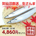 【秋刀魚 宅配】秋刀魚 20尾【気仙沼港直送】【気仙沼秋刀魚...