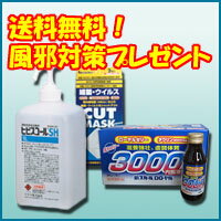 アルコール消毒液【ヒビスコールSH（1リットル）プレゼントセット】送料無料