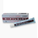 【指定第2類医薬品】コーチゾン雪の元S(6g) しっしん ひ...