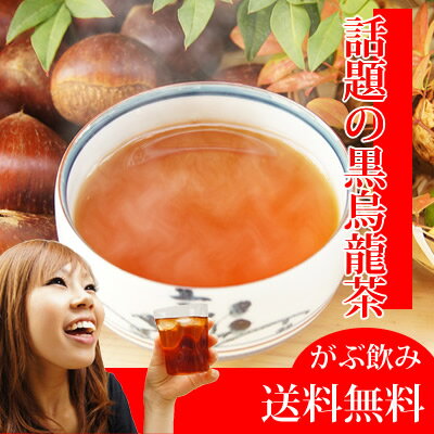 大感謝祭限定総合ランキング入賞！烏龍茶専門店ふくちゃの「がぶ飲み黒烏龍茶！」ティーバック45包