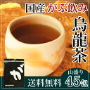 メガ盛り国産烏龍茶福袋(国産ウーロン茶)|ふくちゃのがぶ飲み国産烏龍茶|ティーパック45包|送料無料【RCP】