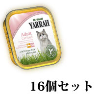 ヤラー　海老とサーモンのキャットパテ100g　16個セット　4937406762132