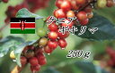 ケニア ギキリマ【芳醇な酸味と香り】◆250g◆ 中煎り