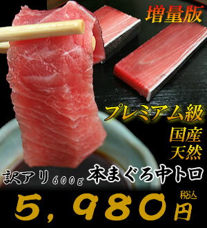 はえ縄漁船が漁獲したプレミアム級の天然国産の本まぐろ（鮪、マグロ）中トロを限定使用！！訳があっても鮮度・脂は本物です！たっぷり600g入り【マグロ】【まぐろ】【鮪】