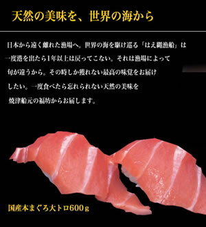 【送料無料】国産天然本まぐろ背トロどーんと600g！養殖物では味わえない深い本物のコクが楽しめます。【訳あり】【大トロ】【マグロ】【まぐろ】【鮪】【わけあり】80126焼津船元直送マグロ！【マグロ】【まぐろ】【鮪】【訳あり】【わけあり】