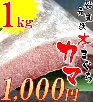 本まぐろカマ1kg！スーパーなどではお目にかかれない本まぐろのカマを限定使用！福坊は本まぐろ（マグロ、鮪）でこのお値段！【マグロ】【まぐろ】【鮪】【訳あり】【わけあり】【50％OFF】【半額以下】【S6_gu】80349焼津船元直送マグロ！【マグロ】【まぐろ】【鮪】