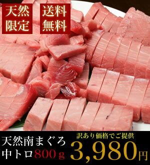 【送料無料】やっぱり天然！訳アリ天然南まぐろ中トロ切落したっ...