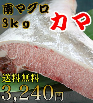 【送料無料】レビュー1,000件突破！甘みが違う南まぐろカマ...