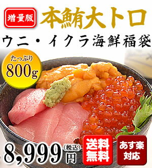 【送料無料】お得な増量版！本マグロ大トロ、無添加うに、北海道いくらの海産物 三冠王が一度に…...:fukuichi:10000894