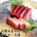マグロ 年末 お正月 刺身 福袋 天然本まぐろ中トロ&天身福...