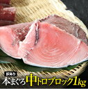 わけあり天然クロマグロ(ホンマグロ、ほんまぐろ)中トロブロッ...
