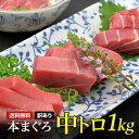 マグロ まぐろ 鮪 刺身 訳あり 中トロ 本マグロ1kg 8...