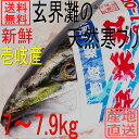 天然 ぶり 寒ブリ 嫁ブリ 長崎県壱岐産 7kg〜7.9kg...
