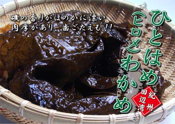 【冷凍便】生ひとはめわかめ（ヒロメ）　500g