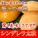 熊本産シンデレラ太秋柿　最高級品　木箱5個入り約2k10月より収穫予定です