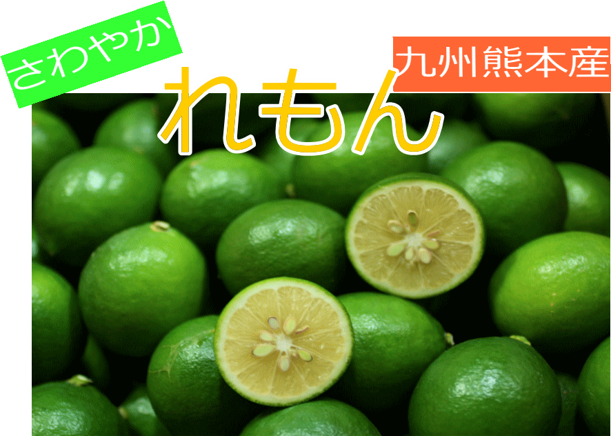 国産レモン（メイヤー）　九州熊本三角町産　5kg9月20日頃から収穫予定です期日指定はご遠慮下さい