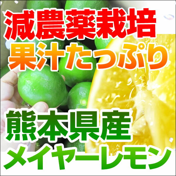 熊本県三角産中山さんのレモン1箱5kg入9月下旬頃から収穫予定ノーワックス...:fukumakajyuen:10000319