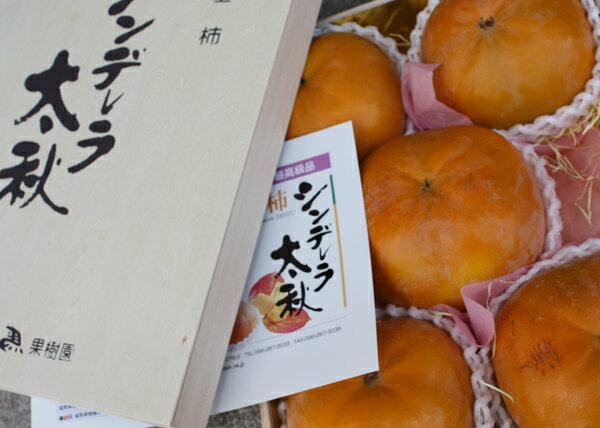 熊本産シンデレラ太秋柿　最高級品　木箱5個入り約2k　お届けは9月下旬から　お急ぎの方は相談してください