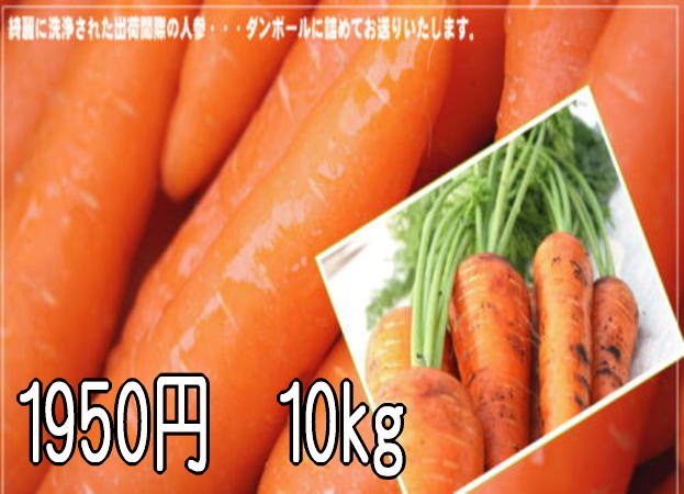 九州熊本産フルーツキャロット商品特別価格ジュース用10kg冬人参の収穫が終わりました　春人参は4/13から収穫予定です