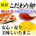 À¸¤ß¤¿¤Æ¿·Á¯¤¿¤Þ¤´¡¡30¸Ä¡ß2È¢¡Ê60¸Ä¡Ë