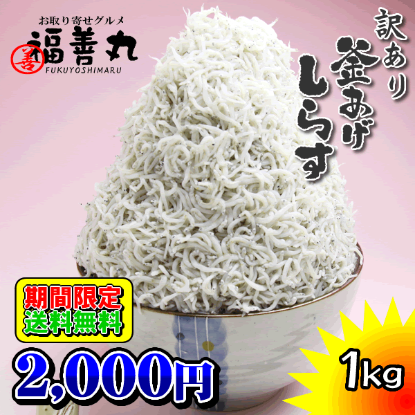 愛媛県産訳あり無選別釜あげしらす1kg12/1〜1月上旬の期間は配送日時の指定不可となっております。