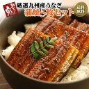 国産うなぎ蒲焼きカット5枚 【 うなぎ 蒲焼き 国内産 送料...