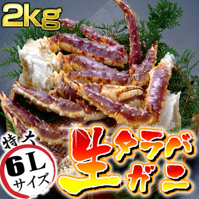 特大サイズ！生たらばがに肩脚 2kg （約6〜8人前） | かに カニ 蟹 たらば タラバガニ タラバ 生 姿 むき身 焼きガニ バーベキュー かに鍋 カニ鍋 贈り物 贈答品 ギフト プレゼント お歳暮 お正月 年末年始 国内 脚 活 送料無料