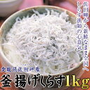 【沸騰ワード10 TV紹介!】愛媛県産 極上 福島さんの釜揚...