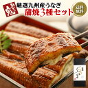 母の日父の日クーポンで4980円3種化粧箱セット九州産国産う...