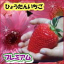 ひょうたん いちご みやび 特大サイズ9粒【RCP