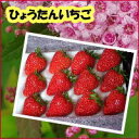 ひょうたん いちご みやび大粒サイズ12粒【RCP