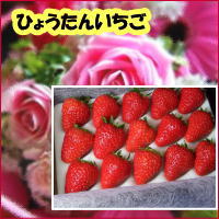 ひょうたん いちご みやび中粒サイズ15粒【RCP