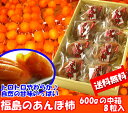 【送料無料】福島特産『あんぽ柿(梁川五十沢地区産)化粧箱入』(600g 8粒入)【あす楽対応_東北】【あす楽対応_関東】【あす楽対応_甲信越】【あす楽対応_北陸】【あす楽対応_東海】【あす楽対応_近畿】【0125-送料無料】10P10Jan25