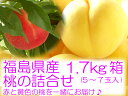 夢の詰合せ♪1.7kg箱(5〜7玉入) 黄金桃と特秀品の伊達市産桃を一緒にしてお届け♪お客様の声から誕生した極上桃のコラボレーション 【発送は8月下旬頃から発送予定】【2sp_120810_green】10P17Aug12