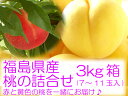 夢の詰合せ♪3kg箱(7〜11玉入) 黄金桃と特秀品の伊達市産桃を一緒にしてお届け♪お客様の声から誕生した極上桃のコラボレーション 【発送は8月下旬頃から発送予定】【2sp_120810_green】10P17Aug12