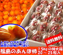 贈答向けの化粧箱入り。特大サイズのあんぽ柿を贈り物にしてみませんか?【送料無料】【お歳暮ギフト】福島特産『あんぽ柿(梁川五十沢地区産)化粧箱入』(1,500g 20~25粒入)♪福島の高級フルーツギフトで大活躍!スーパーでは味わえない本場の甘さをお届けします♪【081125日替わり】年越し特集2008