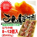【送料無料】 はちや柿のあんぽ柿...