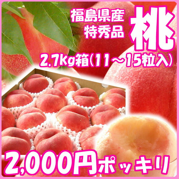 yʌzc㋽wɒBs̓Gix2.7kg(13?15ʓ) yF7{?10{܂ŗ\zyyMt_̂zyyMt_̂zyRCPz10P12Sep14