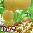 南水梨 福島県 かやばの梨 10kg箱 20~36玉入 福島の大地が育んだ果汁たっぷりの甘~い なし ナシ 【発送時期:9月下旬頃~10月中旬頃まで予定】