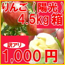 【訳あり】りんご(陽光)1,000円ポッキリ4.5kg箱(13玉～25玉入)激安71%オフ♪甘味と酸味のとれたリンゴです♪【あす楽対応_東北】【あす楽対応_関東】【あす楽対応_甲信越】【あす楽対応_北陸】【あす楽対応_東海】【あす楽対応_近畿】 10P23oct10 10P25oct10